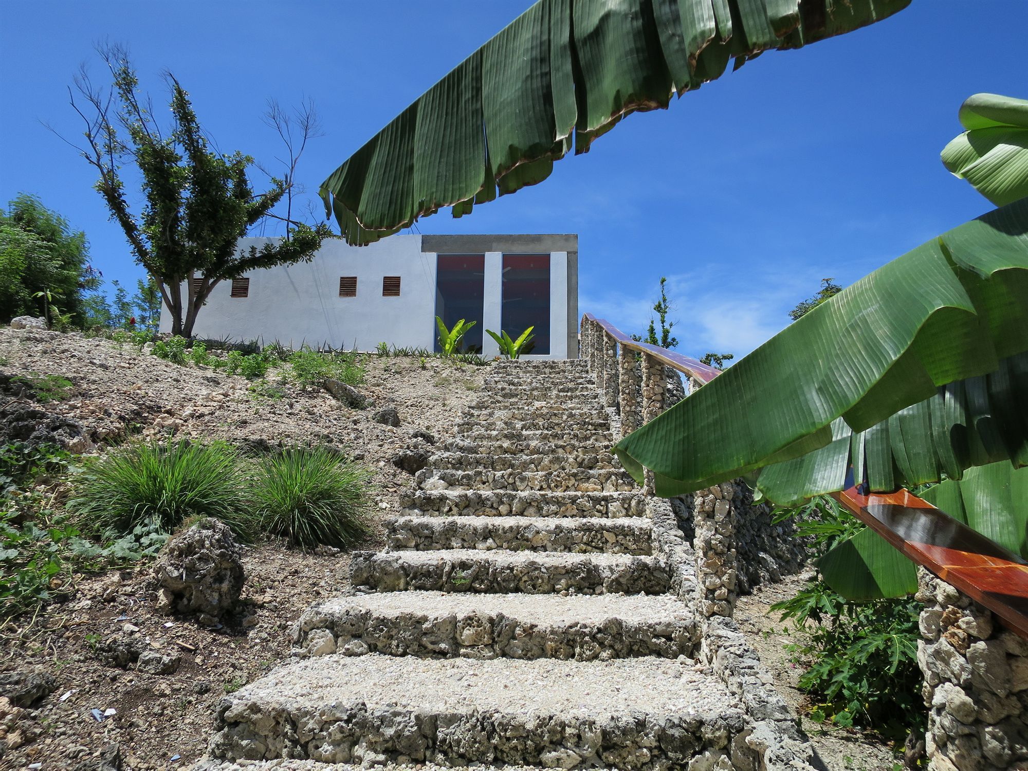 Tepanee Beach Resort Malapascua Extérieur photo